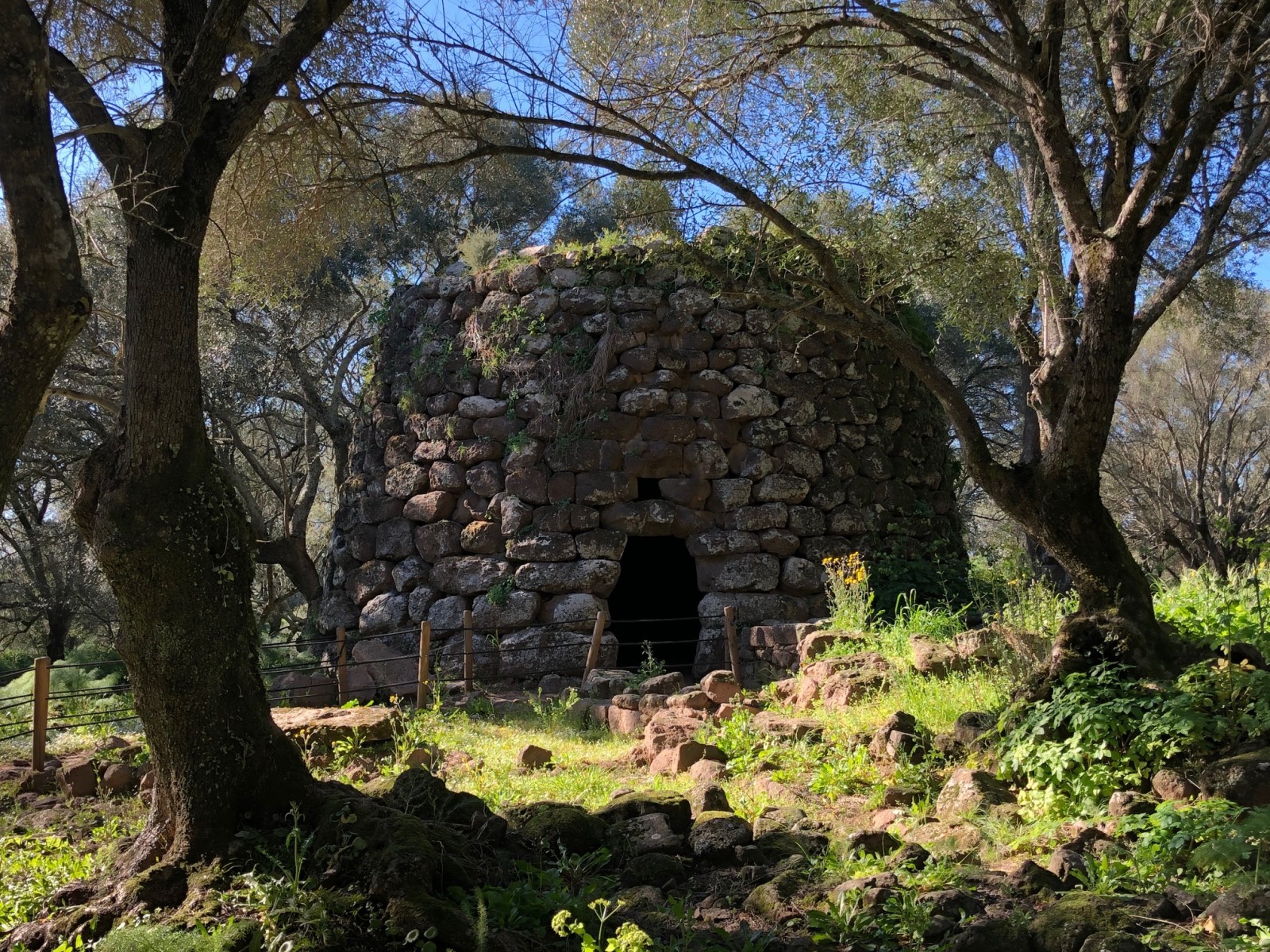 Sanctuary of Santa Cristina - Nuraghe Santa Cristina (1500-1200 BC)