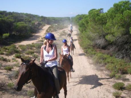 Horseback riding Sardinia beach Alghero Reiten Equitazione Sardegna Pintadera Activities